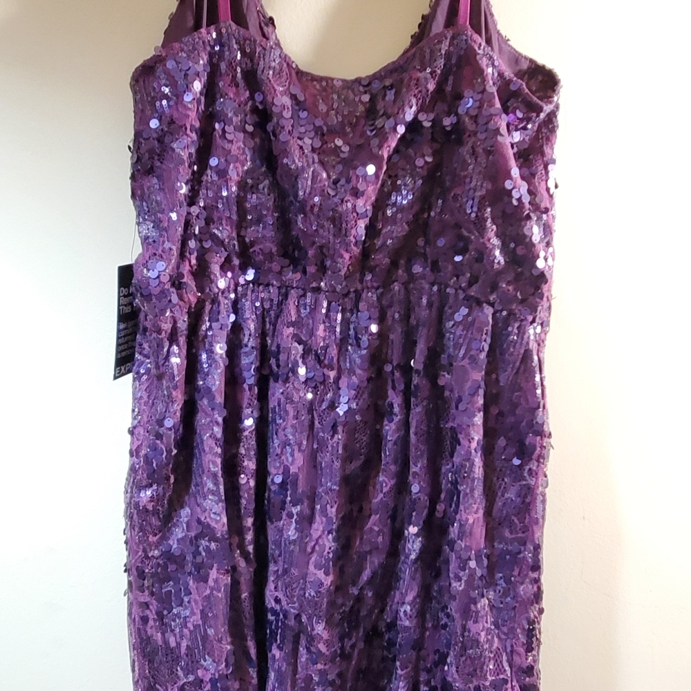 Express sequence dress Size Large - Picture 2 of 3
